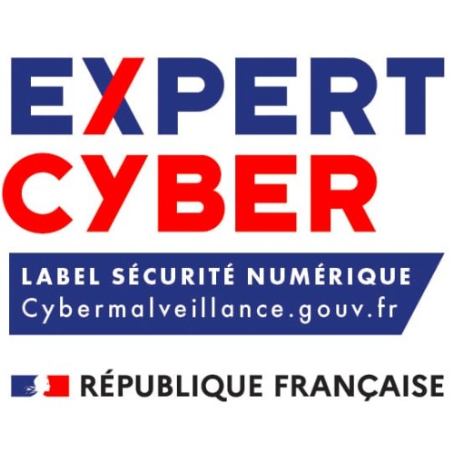 Logo-EXPERTCYBER-RVB-1
